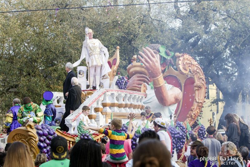 Hugh Laurie - New Orleans - Mardi Gras Parade 2014
