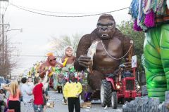 Hugh Laurie - New Orleans - Mardi Gras Parade 2014