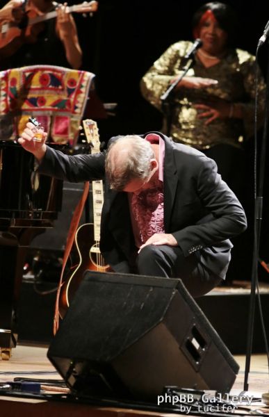 Hugh Laurie & The Copper Bottom Band perform in Milan 2014