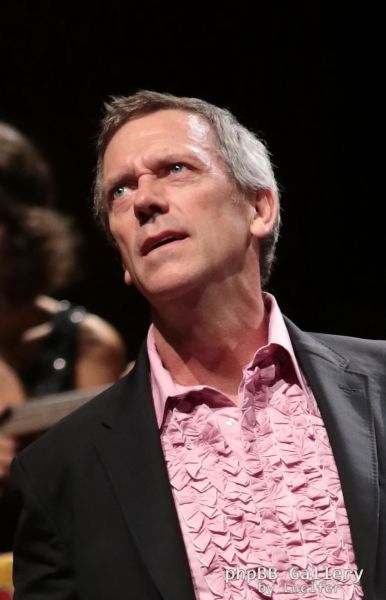 Hugh Laurie & The Copper Bottom Band perform in Milan 2014