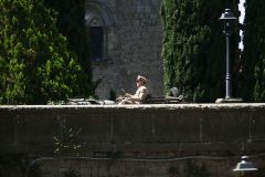 Hugh Laurie - Filming 'Catch 22', 02. August In Viterbo, Italy